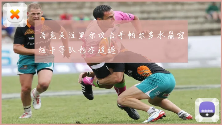 马竞关注里尔攻击手帕尔多水晶宫纽卡等队也在追逐