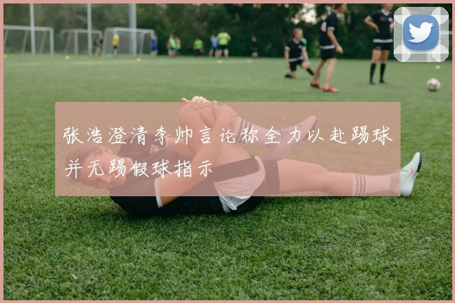 张浩澄清李帅言论称全力以赴踢球并无踢假球指示