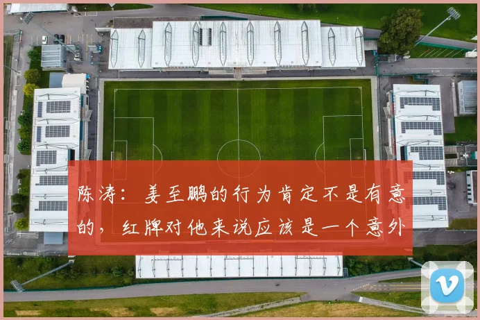 陈涛：姜至鹏的行为肯定不是有意的，红牌对他来说应该是一个意外