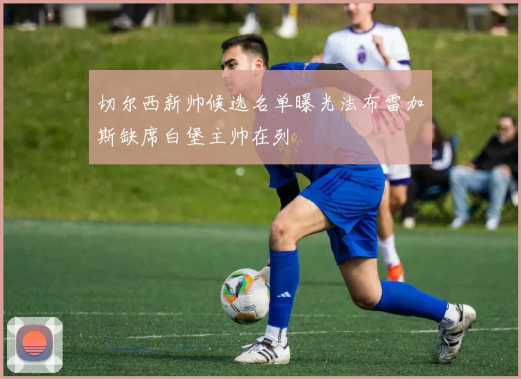 切尔西新帅候选名单曝光法布雷加斯缺席白堡主帅在列