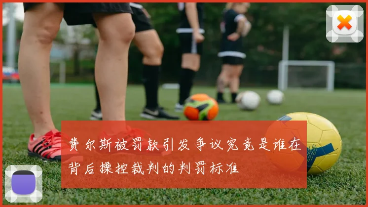 费尔斯被罚款引发争议究竟是谁在背后操控裁判的判罚标准