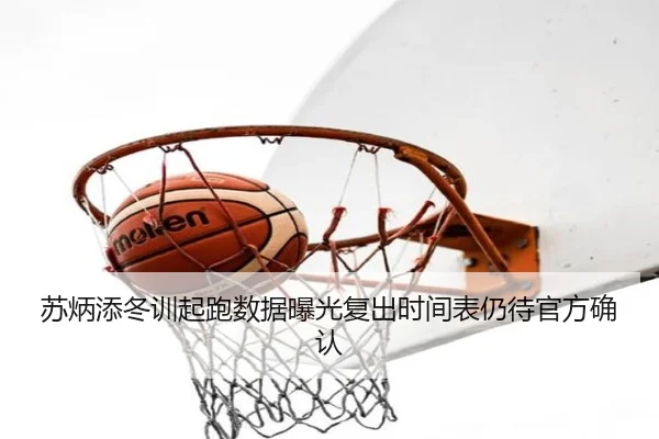苏炳添冬训起跑数据曝光复出时间表仍待官方确认 - LDSPORTS